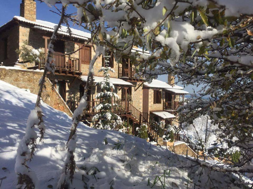 Nymfes Guesthouse Mészi Szinikía Trikálon Kültér fotó